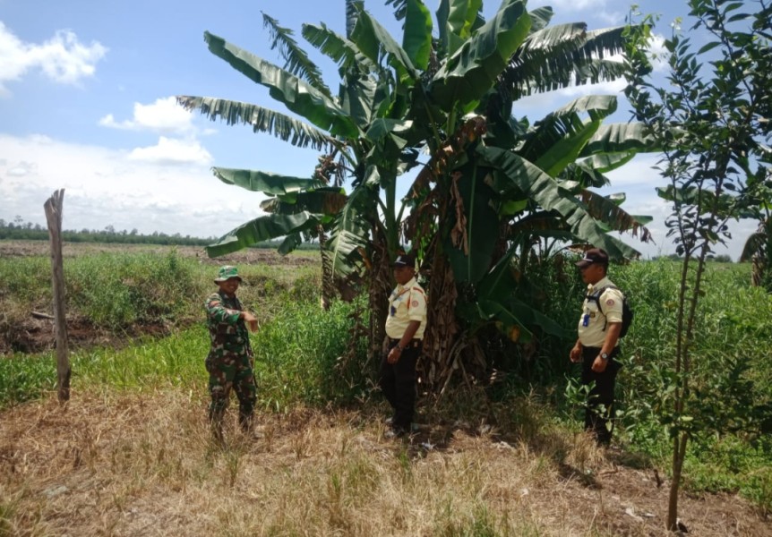 Babinsa Koramil 05/Gas Koptu Suriyadi laksanakan Patroli Tapal Batas Menjadi Prioritas di Wilayah Rawan Karlahut Babinsa Koramil 05/Gas Koptu Suriyadi laksanakan Patroli Tapal Batas Menjadi Prioritas di Wilayah Rawan Karlahut