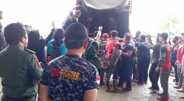 4 Ekor Ular dan 2 Buaya Hasil Tangkapan DPKP Inhil Diserahkan ke BKSDA Riau