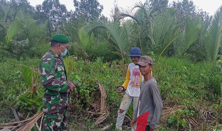 Sertu K Panjaitan Kembali Lakukan Patroli Karhutla di Sapat