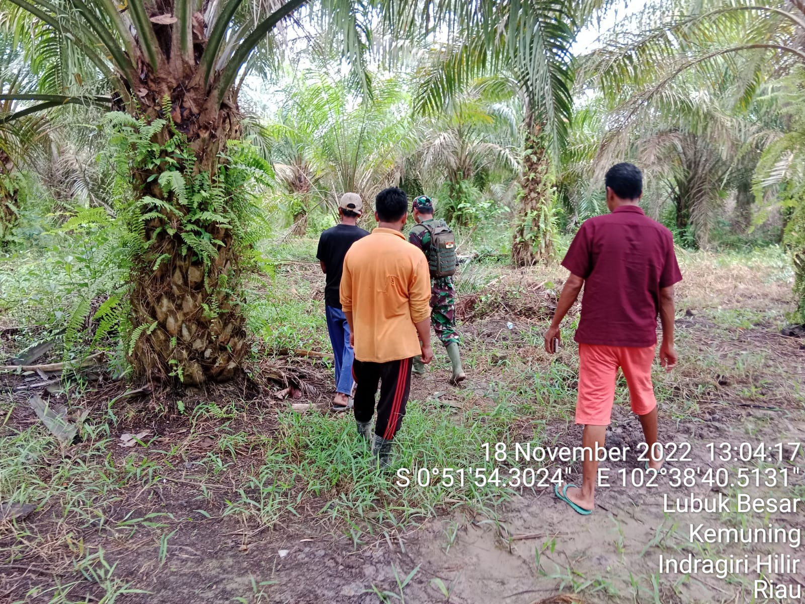 Tetap Jaga Lahan dan Hutan, Babinsa Koramil 09/Kemuning Turun Ke Wilayah