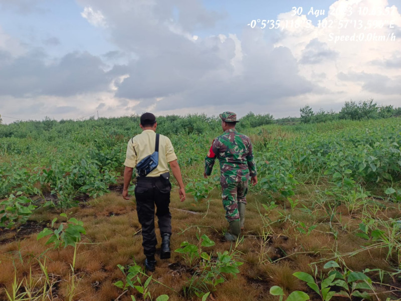 Bhabinsa 05/Gas Kopda Chandra Manto Lakukan Patroli dan Antisipasi Karhutla di Wilayah Binaan