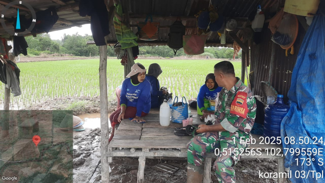 Komsos di Pondok Sawah, Babinsa Koramil 03/Tpl Dan Petani Bahas Upaya Peningkatan Hasil Pertanian