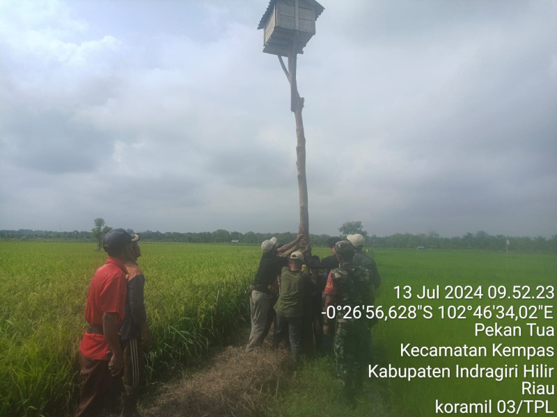 Babinsa Koramil 03/Tpl Hadiri Pelaksanaan Panduan Gerakan Masal Membangun Rumah Burung Hantu (GERMAS RUBUHA) Tahun 2024