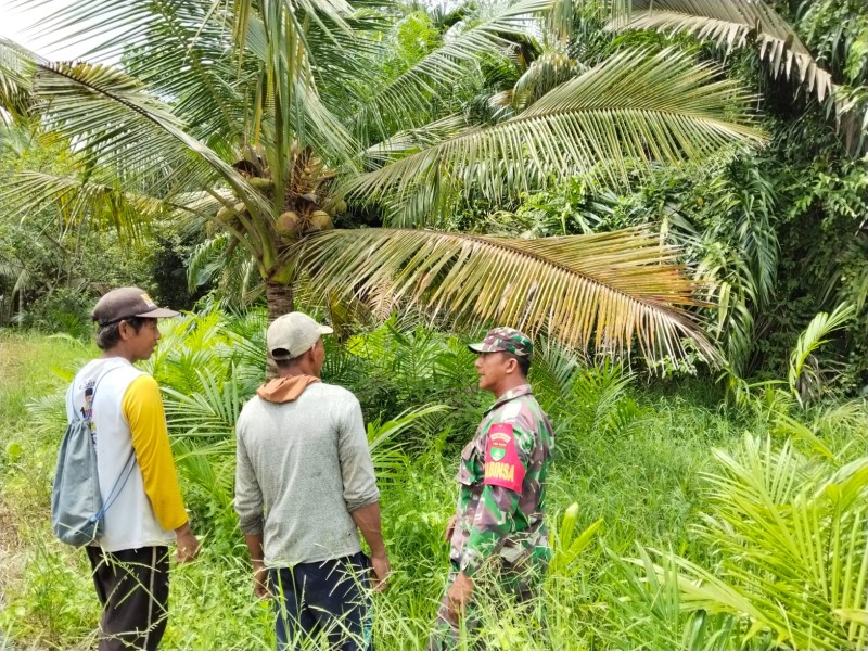 Babinsa Sertu Johansah Rutin Laksanakan Patroli Tapal Batas Dengan Warga Setempat