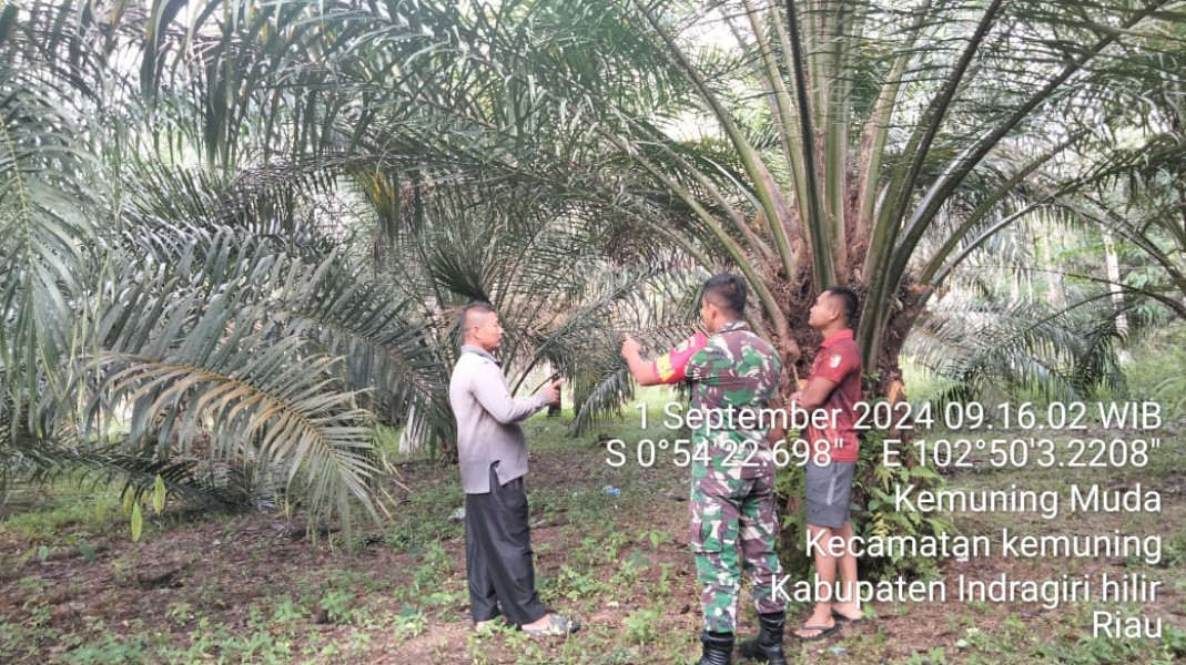 Babinsa Koramil 09/Kemuning Rutin Lakukan Pencegahan Karlahut Bersama Masyarakat