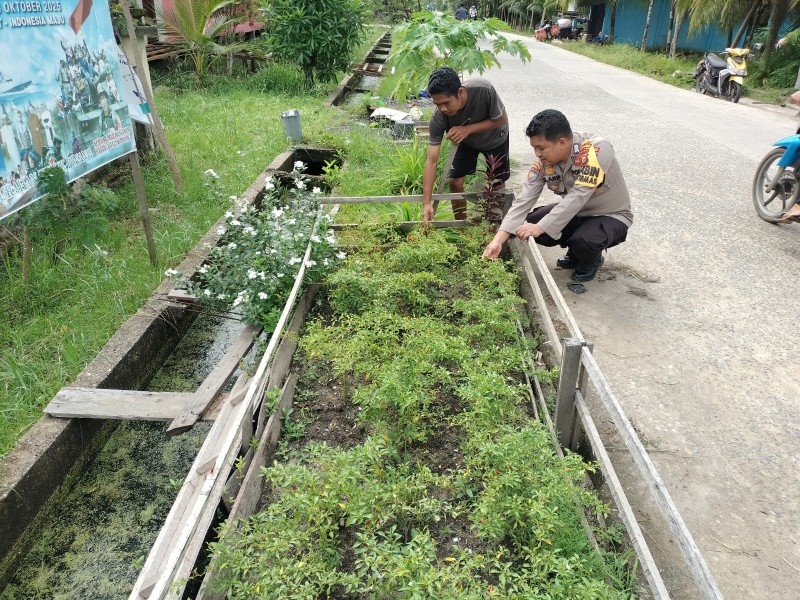 Ketahanan Pangan Dimulai dari Kelurahan: Bripka Arif Gas Pol Dampingi Warga Teluk Pinang