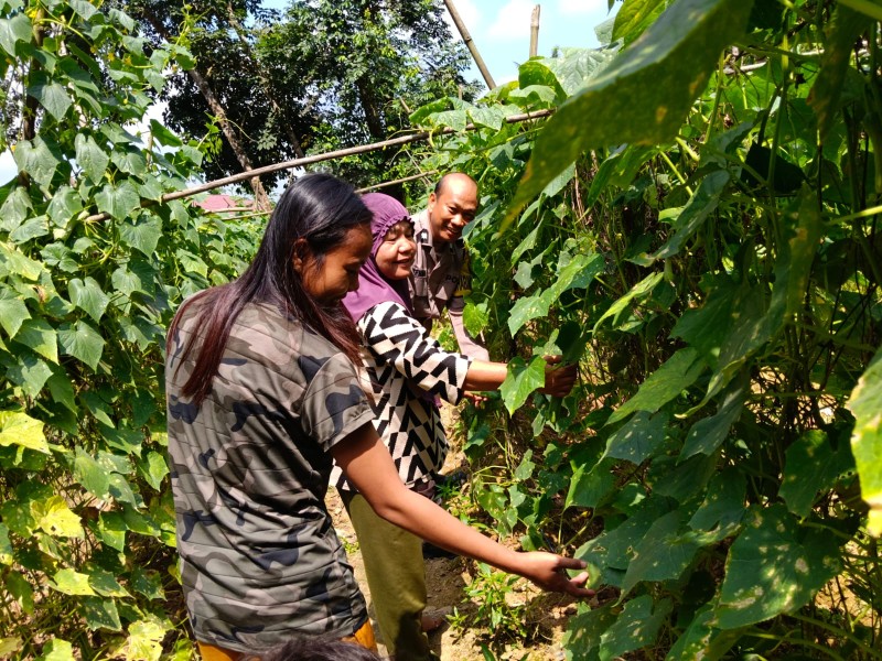 Bhabinkamtibmas Polsek Kemuning dampingi petani mentimun