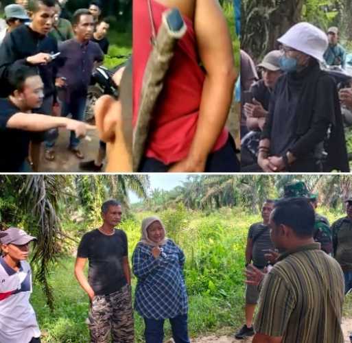 Waduh... Asmar Bertameng Pengacara, Kuasai Kaplingan Kebun PT TPS Dengan Cara Peremanisme di Inhu