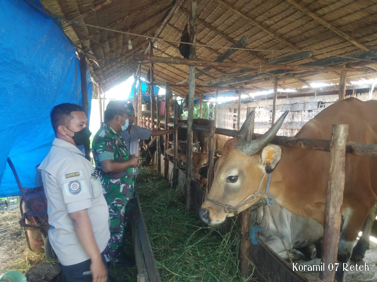 Komsos Bersama Peternak Sapi Oleh Peltu Doni Akmal