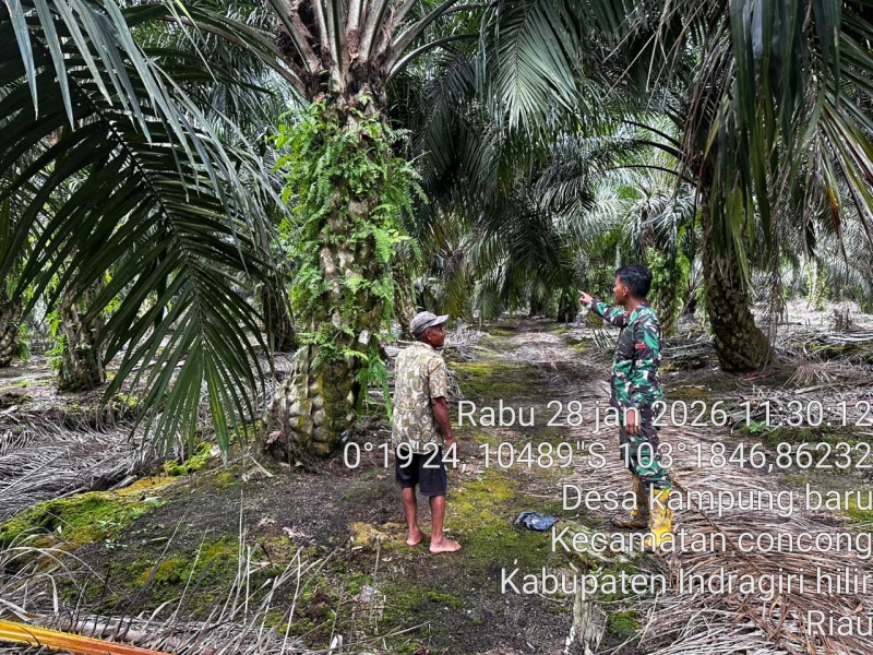 Babinsa Koramil 04/Kuindra: Kami Akan Terus Lakukan Patroli dan Sosialisasi