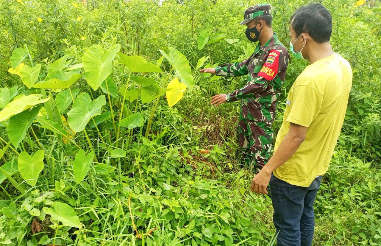 Disiplin Prokes Oleh Anggota Koramil 04/Kuindra di Binaan
