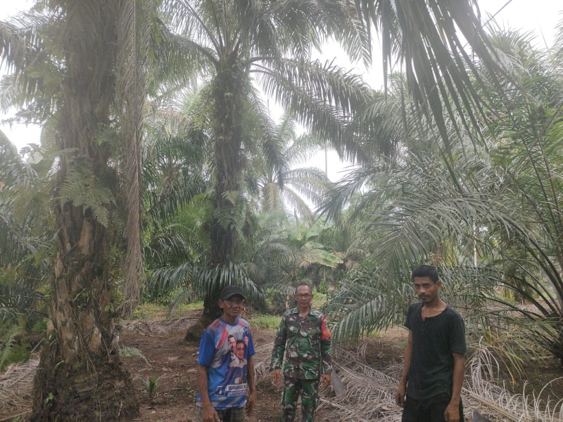 Babinsa Koramil 03/Tpl Laksanakan Patroli Tapal Batas Cegah Karhutla Saat Suasana Lebaran