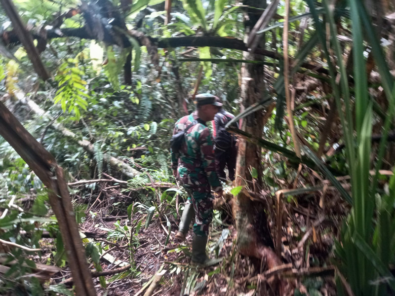 Babinsa Koramil 05/Gas Rutin Laksanakan Patroli Karlahut