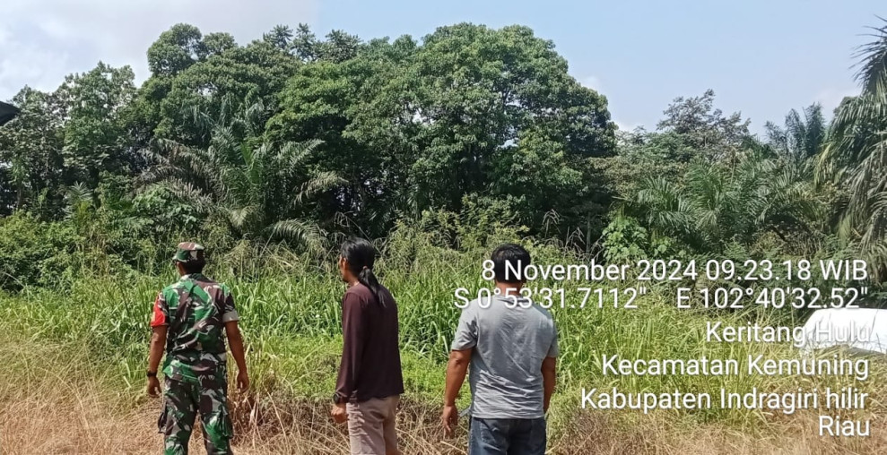 Babinsa Koramil 09/Kemuning Turun Untuk Lakukan Pemantauan Terhadap Lahan dan Hutan Masyarakat