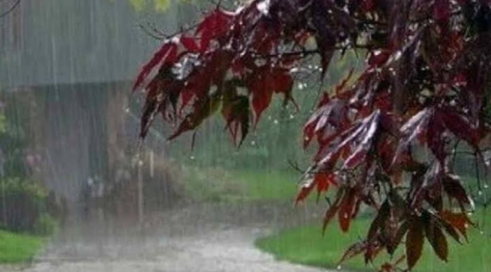 CUACA RIAU : Malam Ini Pekanbaru Hujan, Inhil dan Inhu Cek Disini