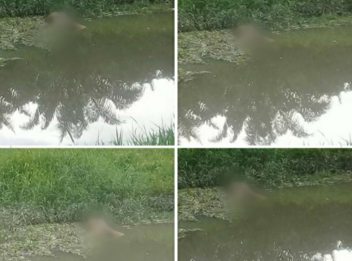 Penemuan Mayat Tanpa Busana di Sungai Sei Buluh Buat Geger Warga, NGERI...!