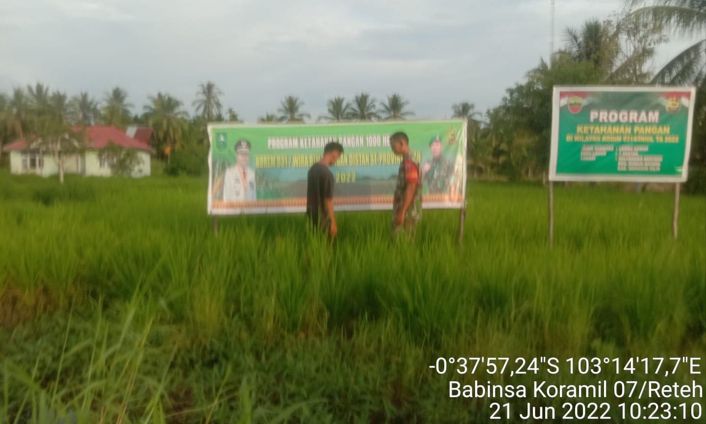 Anggota Koramil 07/Reteh Laksanakan Penanaman Ketahanan Pangan