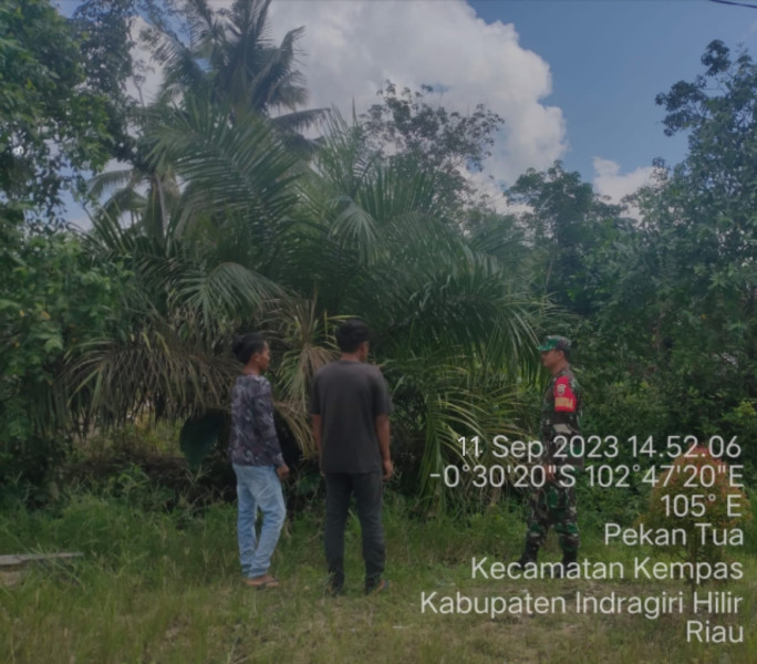Secara Bergantian, Babinsa 03/Tpl Bersama Warga Rutin Lakukan Patroli Karhutla