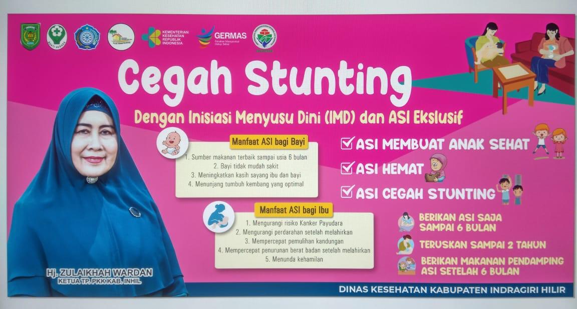 Pekan Menyusui Dunia, Dinas Kesehatan Inhil Ingatkan Pentingnya Asi Eksklusif