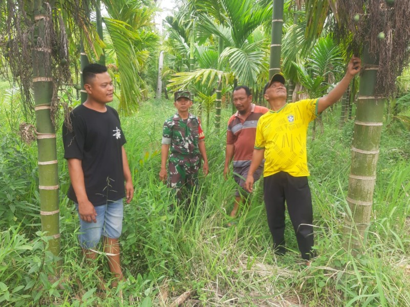 Kegiatan Patroli dan Sosialisasi Karlahut Babinsa Koramil 07/Reteh, Mencegah dan Menjaga Lingkungan