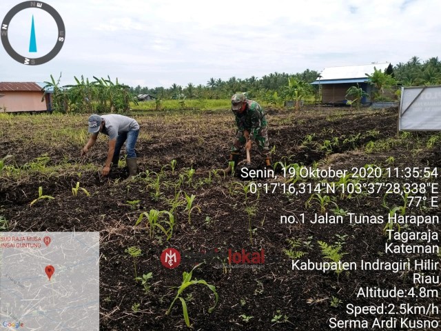 Satgas Koramil 06/Kateman Bimbing Pengolahan Demplot Karya Nyata