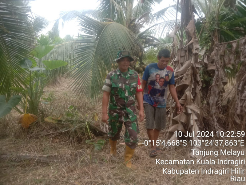 Cegah Karhutla Melalui Patroli Rutin Babinsa Koramil 04/Kuindra