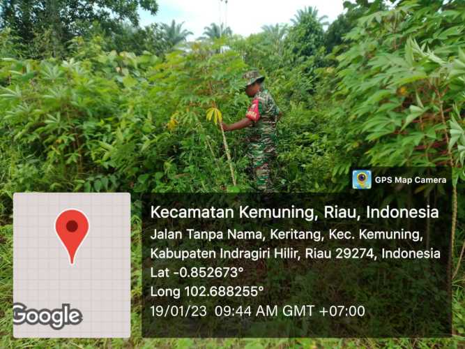 Jaga Tanaman dan Ketahanan Pangan Oleh Koramil 09/Kemuning