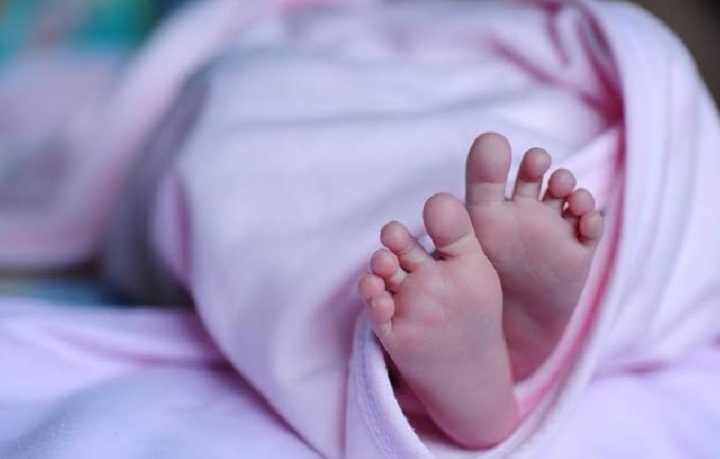 MIRIS...! Mayat Bayi Baru Lahir Ditemukan Warga, Polisi Buru Pelaku