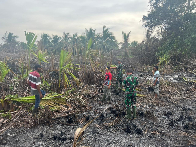 Danramil 04/Kdr Bersama Camat Concong Langsung Turun Ke Lahan Untuk Lakukan Pengecekan dan Pemadaman Serta Pendinginan Titik Hotspot