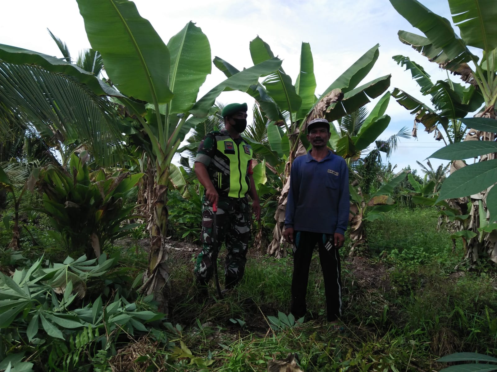 Lakukan Patroli dan Sosialisasi Oleh Babinsa Koramil 04/Kuindra Bersama Masyarakat Petani Pohon Pisang