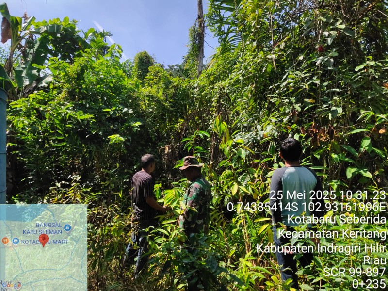 Pastikan Wilayah Binaannya Bebas dari Api dan Asap, Babinsa Koramil 09/Kemuning Laksanakan Patroli dan Sosialisasi untuk Mencegah Karhutla