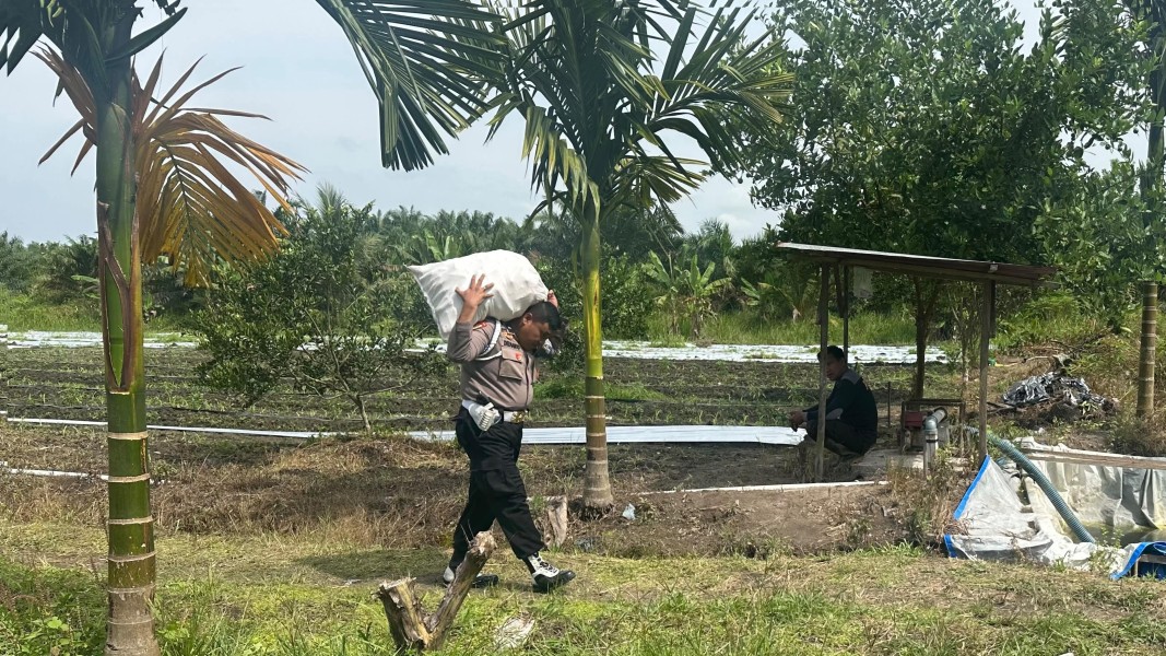 Propam Polsek Koto Gasib Komitmen Dukung Ketahanan Pangan