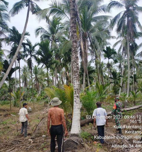 Antispasi Karhutla, Babinsa 09/Kemuning Rutin Lakukan Patroli Karhutla di Kuala Keritang