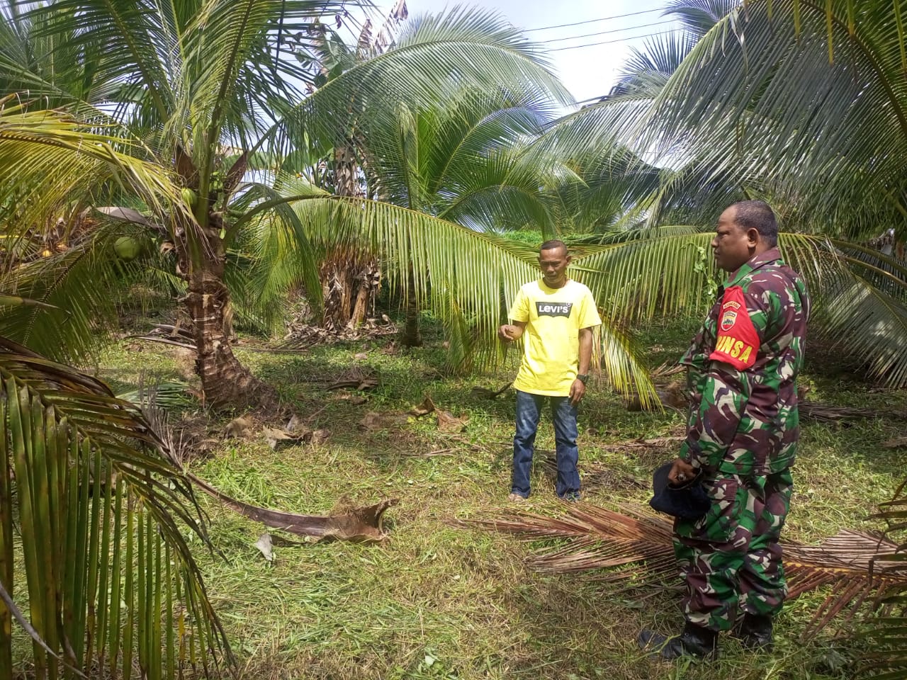 Serda Ilyas Cegah Karlahut Bersama Masyarakat Petani Kelapa