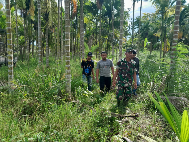 Rawan Karhutla, Babinsa Koramil 07/Reteh Terus Telusuri Lahan dan Hutan Bersama Warga