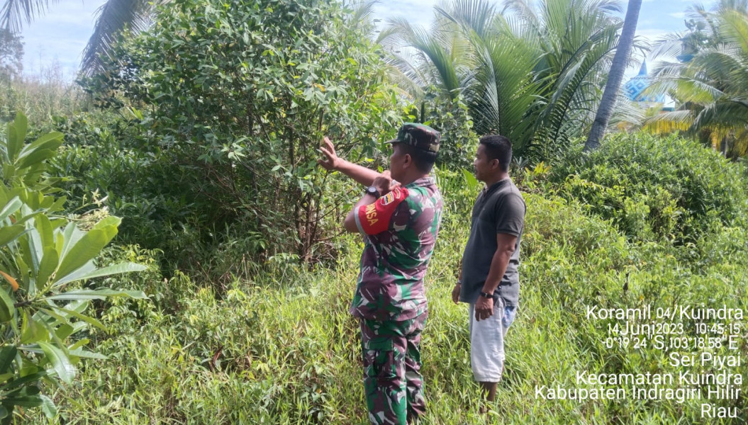 Peduli Terhadap Karhutla, Babinsa Koramil 04/Kuindra Ajak Agar Tetap Di Jaga Lahan dan Hutan