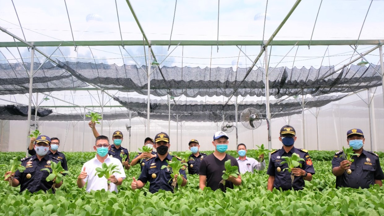 Bea Cukai Batam Kawal Ekspor Sayuran Hidroponik Senilai Rp5 Miliar Lebih