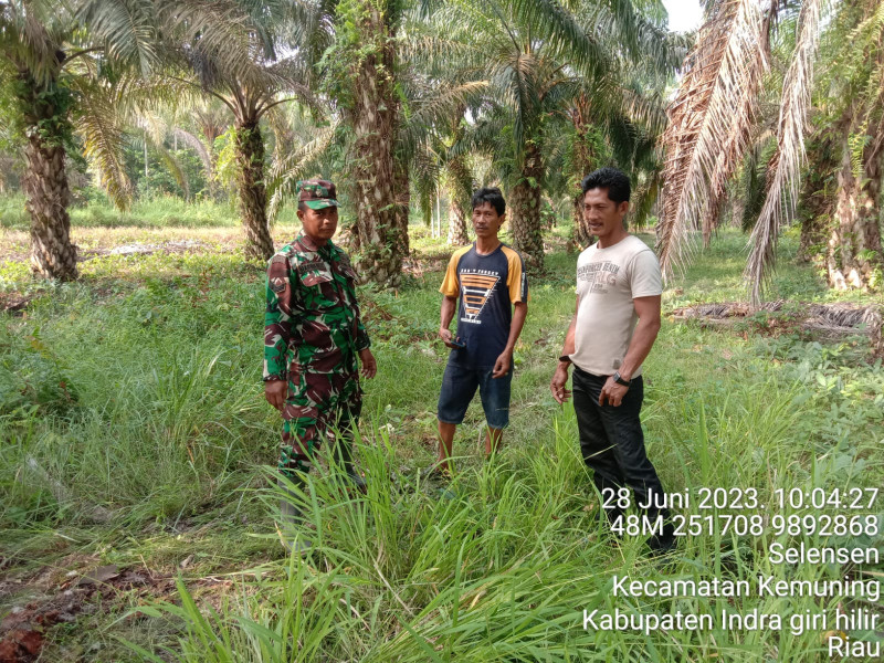 Babinsa Koramil 09/Kemuning Cegah Kebakaran Melalui Patroli dan Sosialisasi