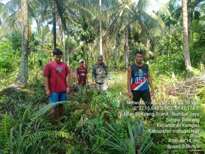 Puasa Tidak Menyurutkan Semangat Babinsa 03/TPL Untuk Patroli Karlahut