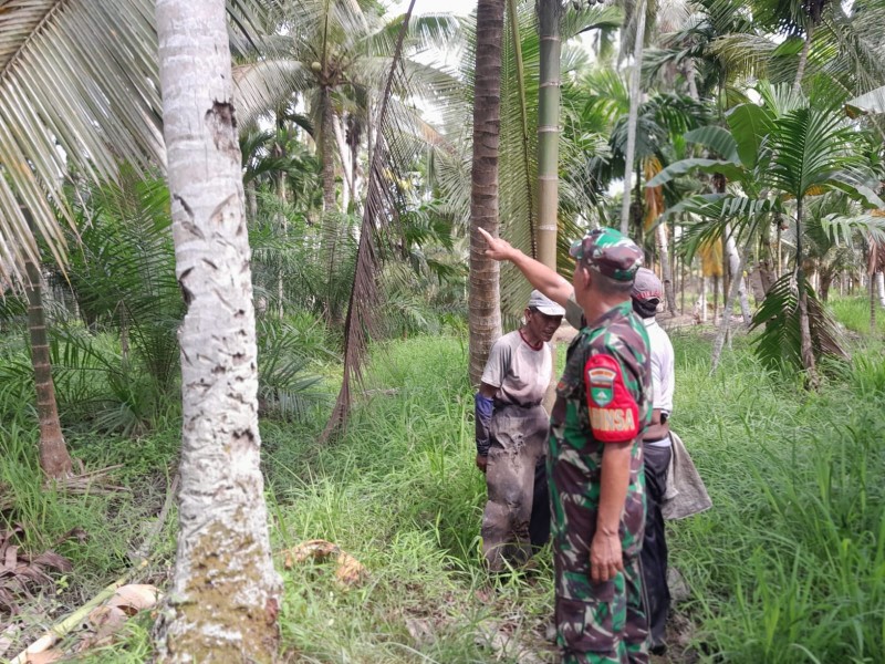 Pelda Nofiandi Laksanakan Patroli Tapal Batas di Wilayah Koramil 07/Reteh Untuk Cegah Karhutla