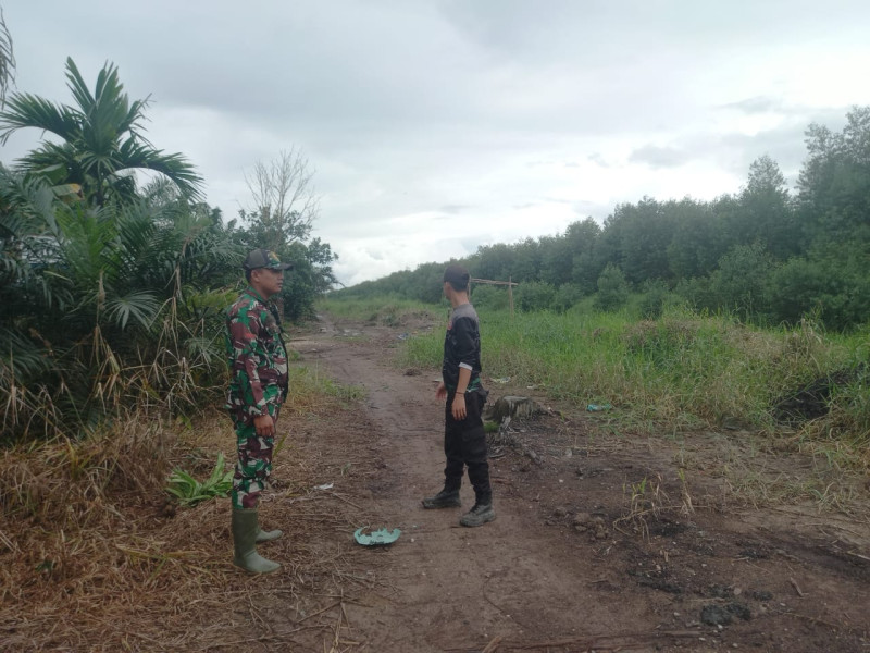 Babinsa 05/Gas Pratu Sandi Wahyudi Gencar Patroli Hutan Dan Lahan Di Desa Wilayah Binaan