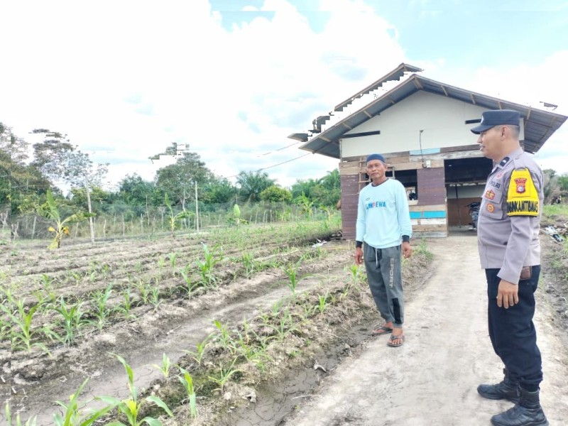 Dukung Program Ketahanan Pangan, Bhabinkamtibmas Kampung Teluk Merempan Menemui Warga Petani Hagung