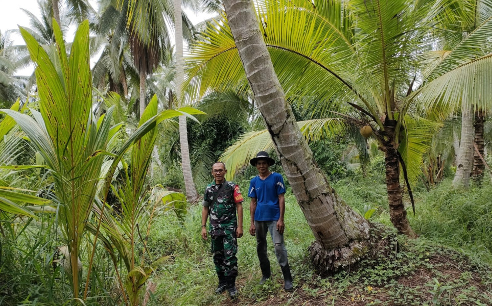 Babinsa Koramil 04/Kuindra Cegah Kebakaran di Wilayah Lahan dan Hutan Warga