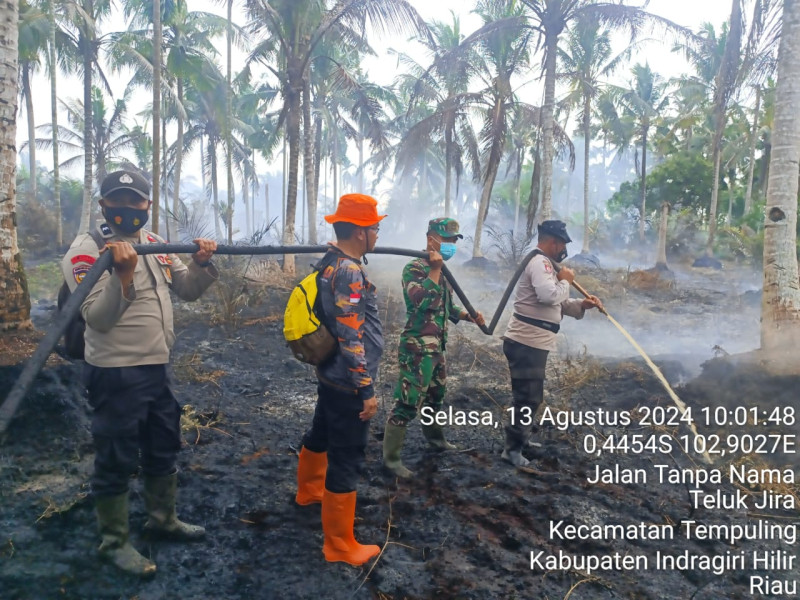 Hari Kedua Upaya Pendinginan Karhutla Babinsa Koramil 03/Tpl Bersama Tim Gabungan