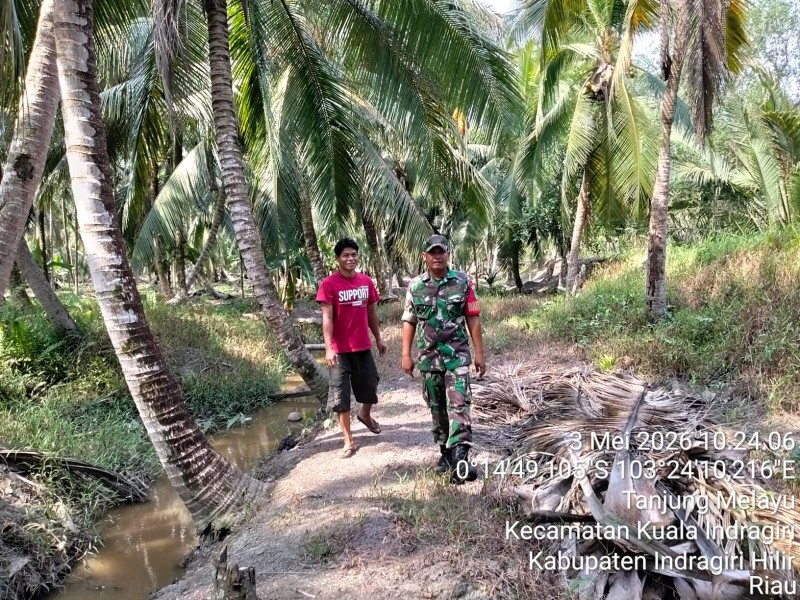 Minggu di Tapal Batas Tanjung Melayu: Serda Ali B. Harahap Patroli, Pastikan Kuindra Bebas Api Demi Paru-Paru Inhil