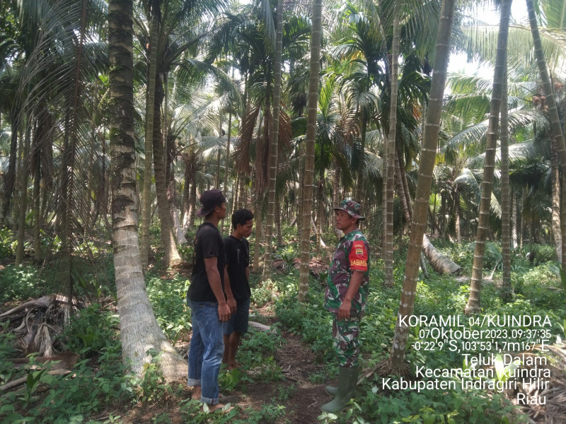 Babinsa Koramil 04/Kuindra Bersama Warga Terus Memantau Titik Api di Lahan dan Hutan