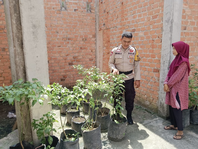 Bripka Erwin Sambangi Lili Astuti di Sencalang, Pekarangan Rumah Jadi Benteng Ketahanan Pangan
