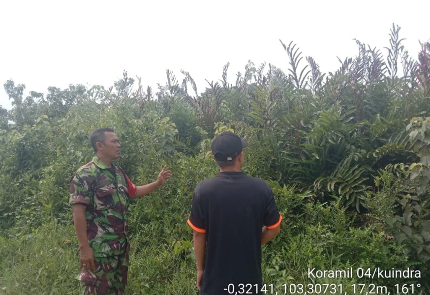 Patroli Tapal Batas di Desa Perigi Raja Berjalan Lancar dan Terkendali Patroli Tapal Batas di Desa Perigi Raja Berjalan Lancar dan Terkendali