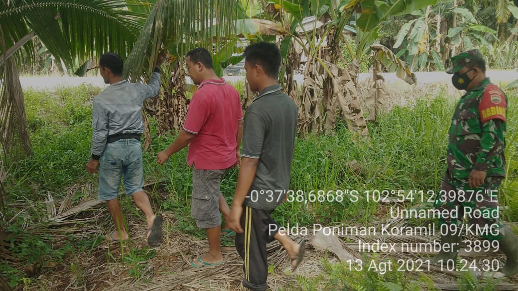 Hindari Kebakaran Hutan dan Lahan, Babinsa 09/Kemuning Lakukan Patroli Karhutla di Nusantara Jaya
