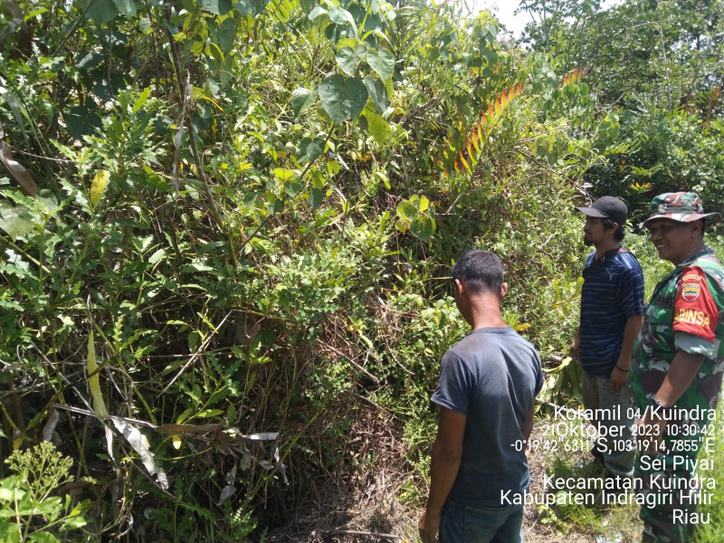 Telusuri Hutan dan Lahan Untuk Memantau Titik Api Bersama Babinsa Koramil 04/Kuindra